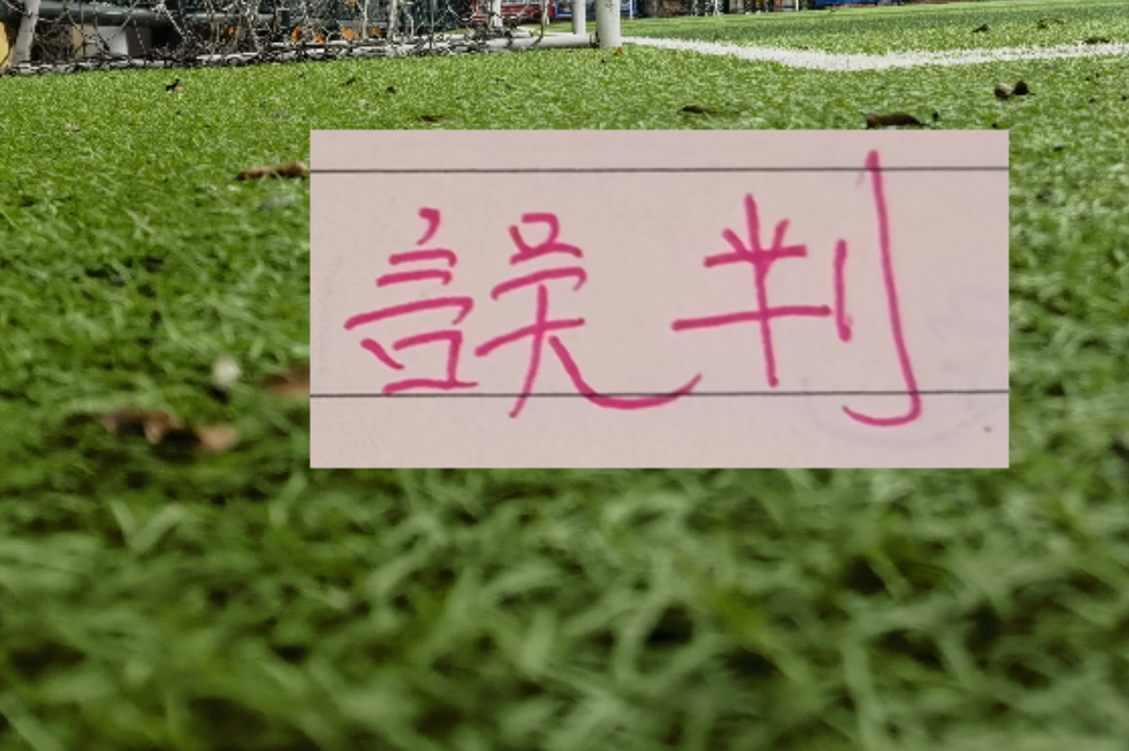 瑞士造点前疑似越位未给划线图，FIFA称为技术故障且并不越位
